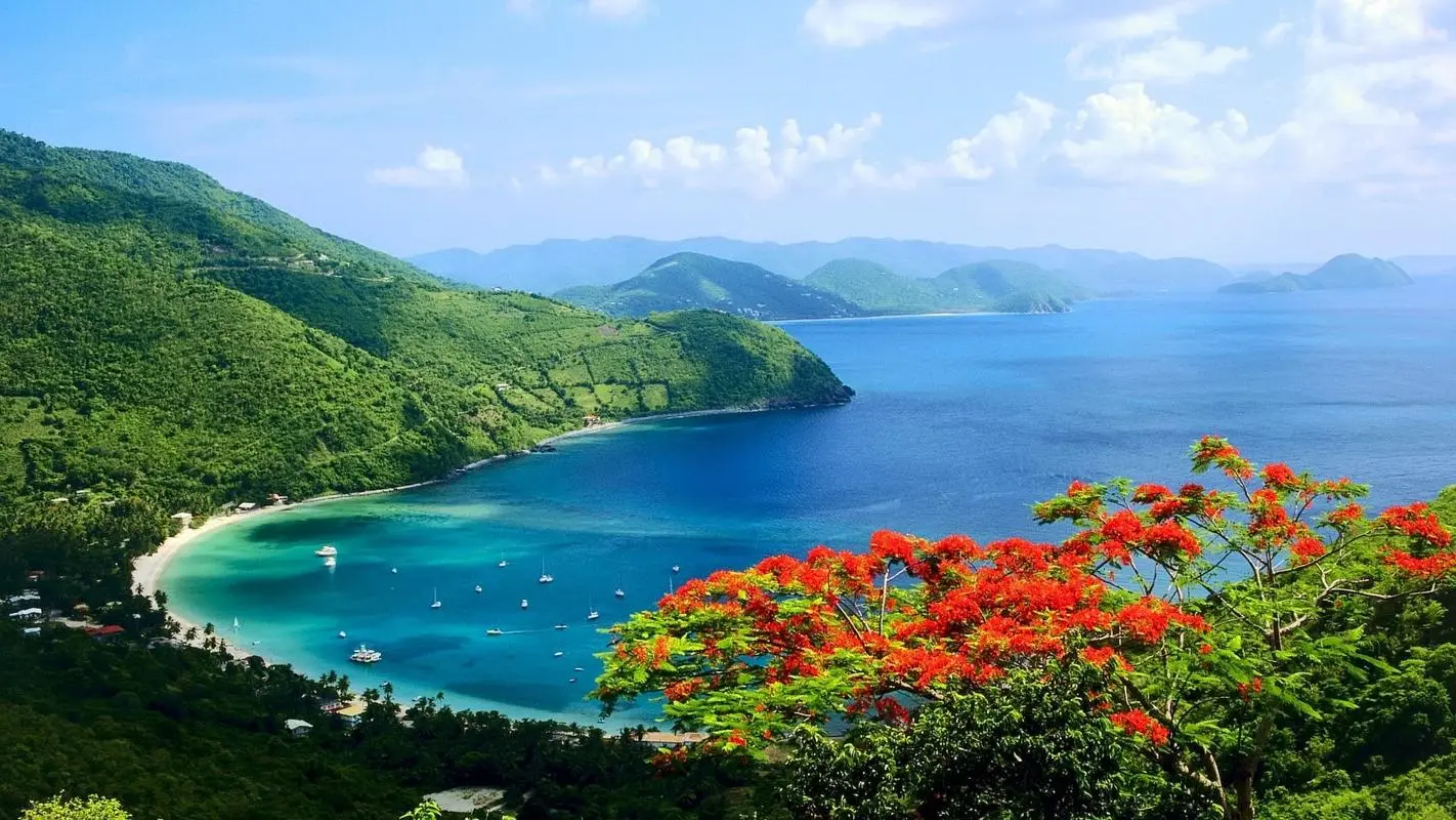 高端智能化